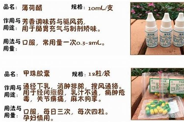 薄荷叶怎么种 薄荷叶如何种植