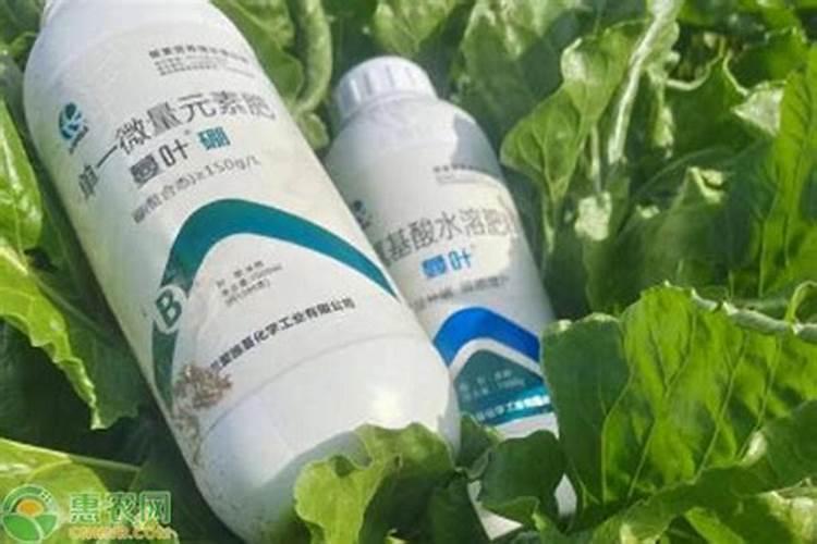 叶面肥可以和杀虫剂杀菌剂混用吗