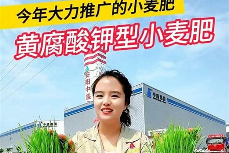 黄腐酸钾的使用方法