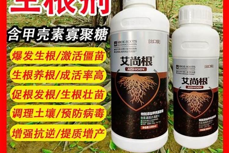 果树促花用什么叶面肥好？