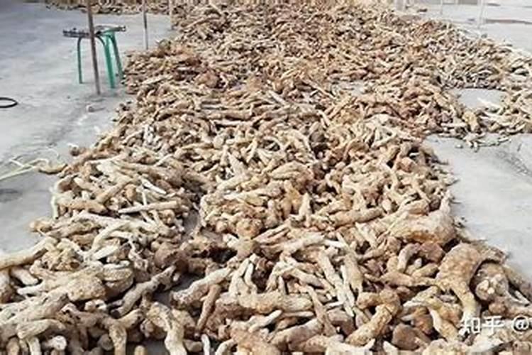 肉苁蓉施什么肥