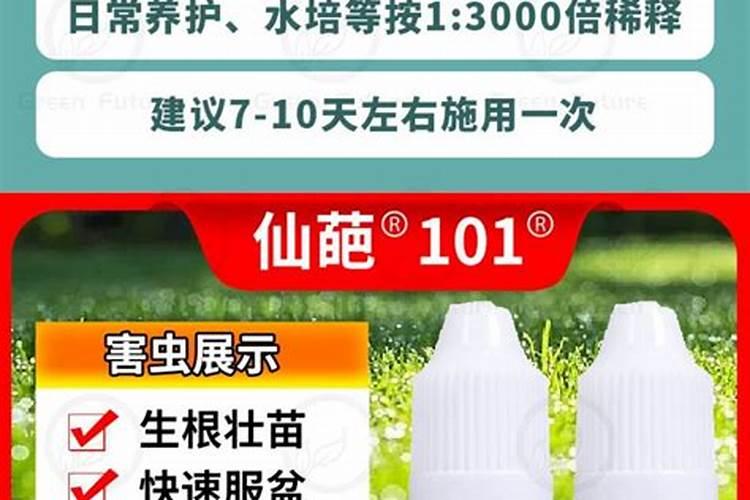 101活力素能天天用吗