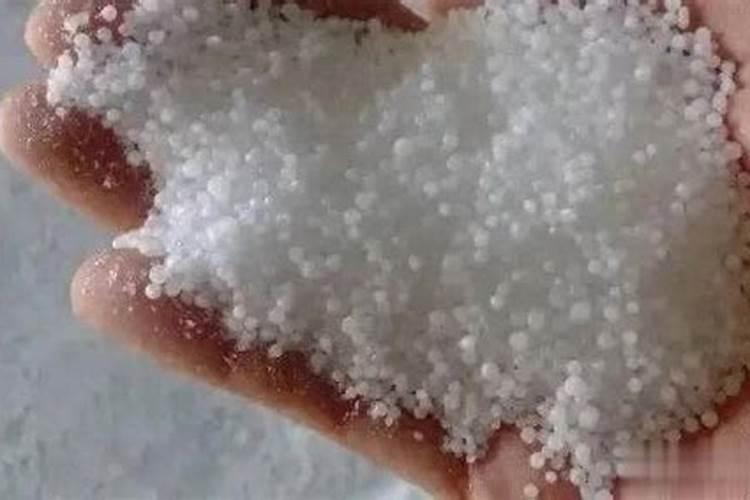 菠菜施什么肥料长得最快