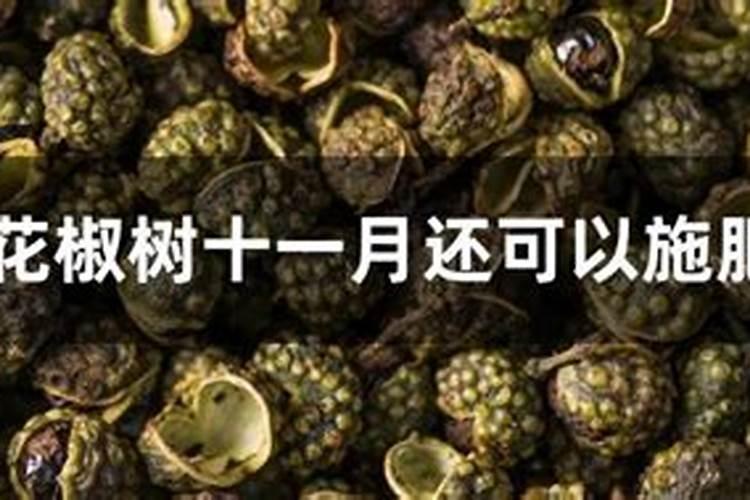 花椒叶面肥多久打好