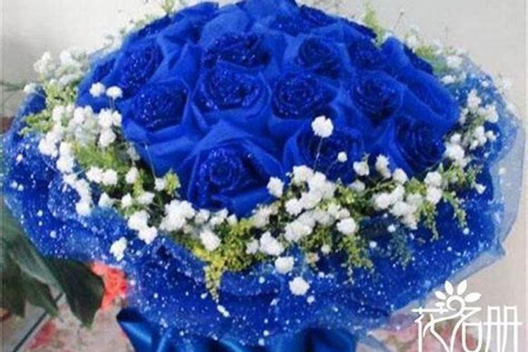 叶面肥十大品牌排行榜