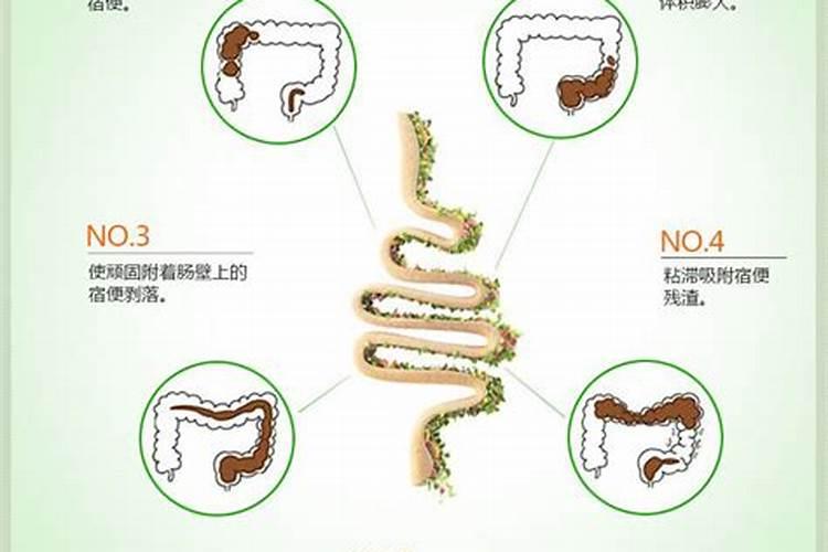 如何养护多肉快速长成大老桩