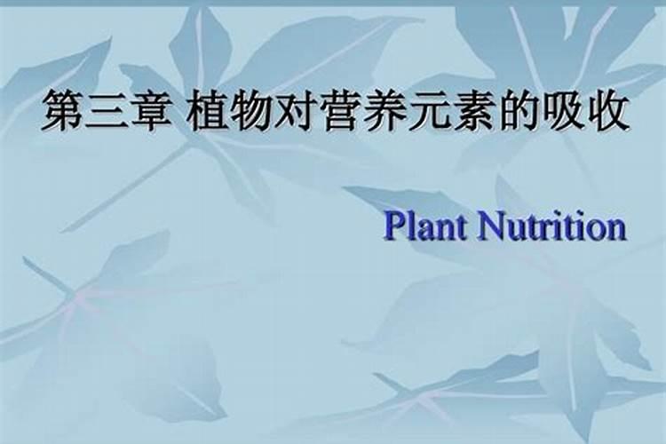 中微量元素肥料有哪些