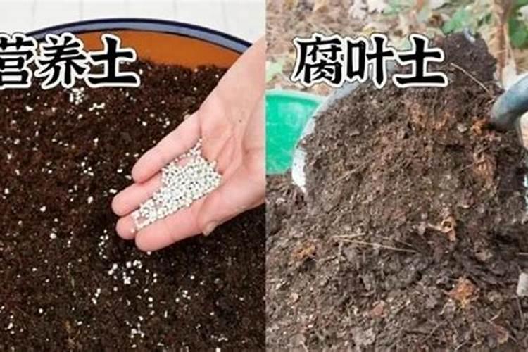 202020水溶肥配方计算