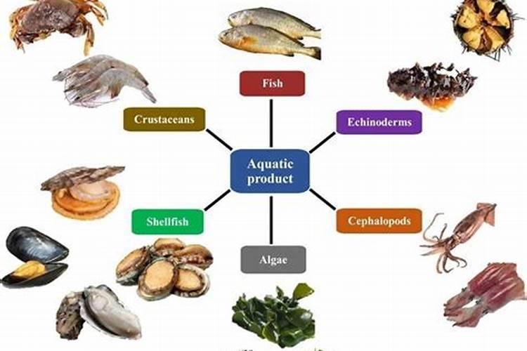 鱼蛋白肥料的功效与作用
