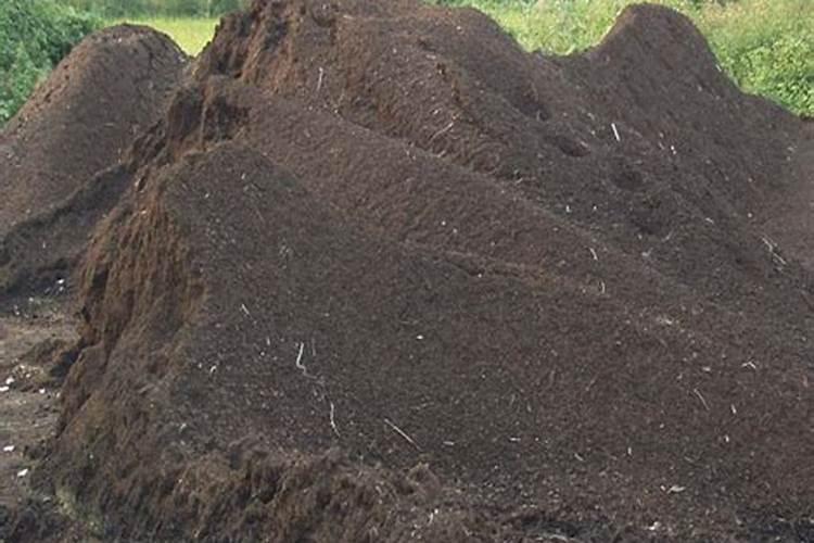 复合肥和有机肥能掺着一起使用吗？