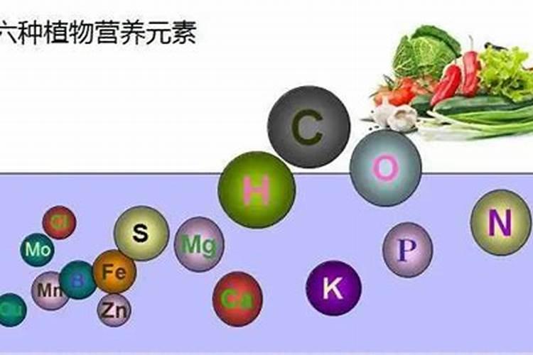 中量元素包含哪些