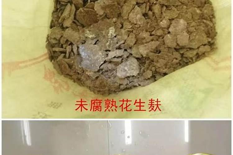 花生麸水液肥制作方法
