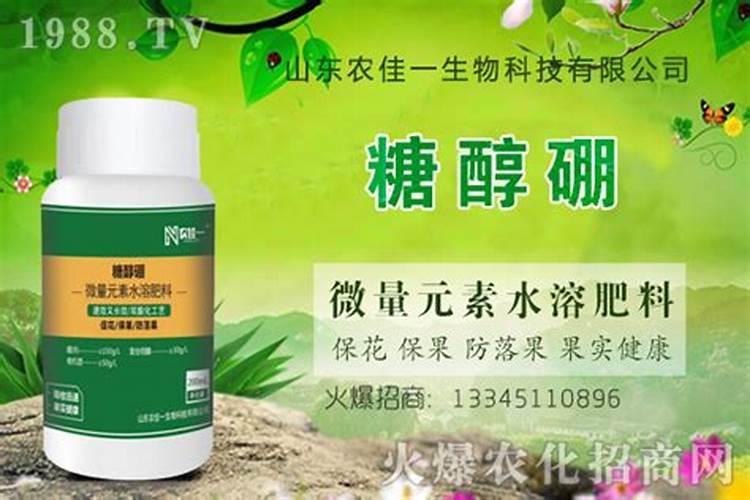 硼肥的正确使用方法