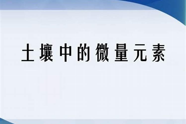 土壤中有什么成分