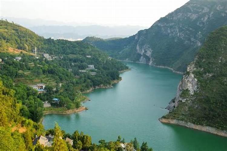 大量元素水溶肥哪个品牌好