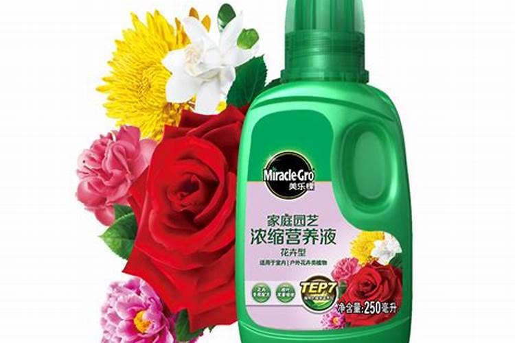 养花一般用什么肥、绿植用什么肥料最好