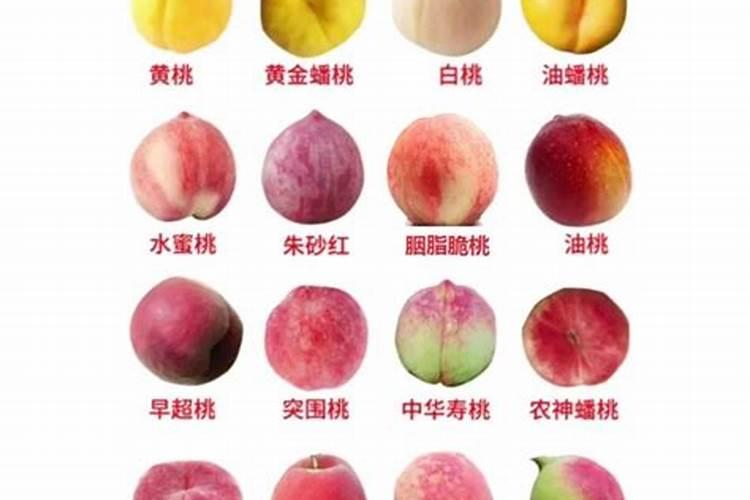 桃树什么时候用水溶肥最好