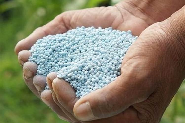 打瓜的晾晒技术