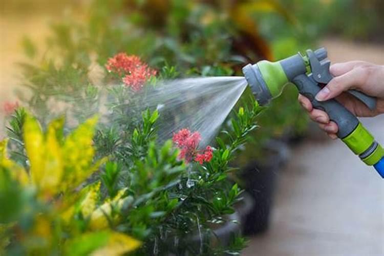 喝过的茶叶水可以用来浇百香果或其他植物吗它是属于氮磷钾哪种的肥料...