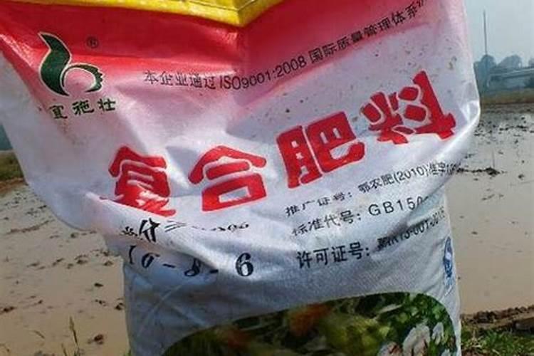 种玉米用什么复合肥做底肥好