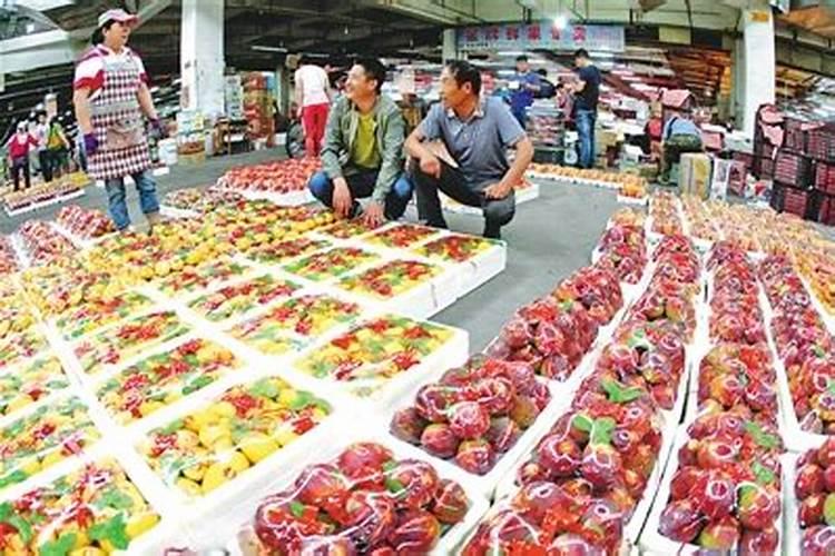 大量元素水溶肥的价格排名,哪个品牌最好？