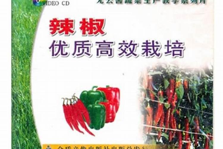 辣椒苗施什么肥最好？