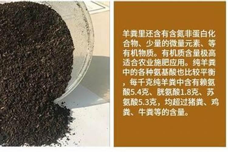 流体硼最佳搭配方法