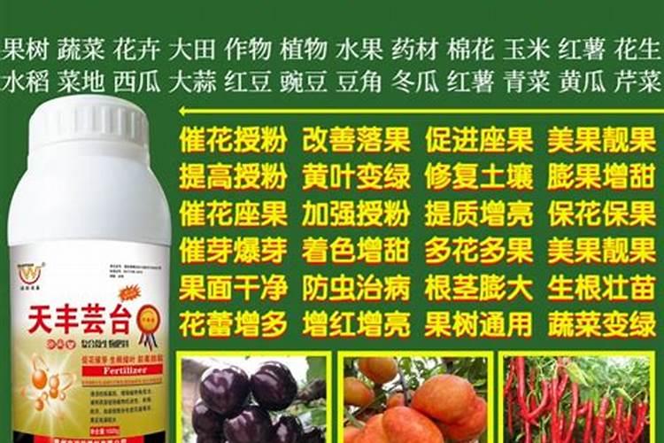 荔枝如果保花保果,用什么农药好？