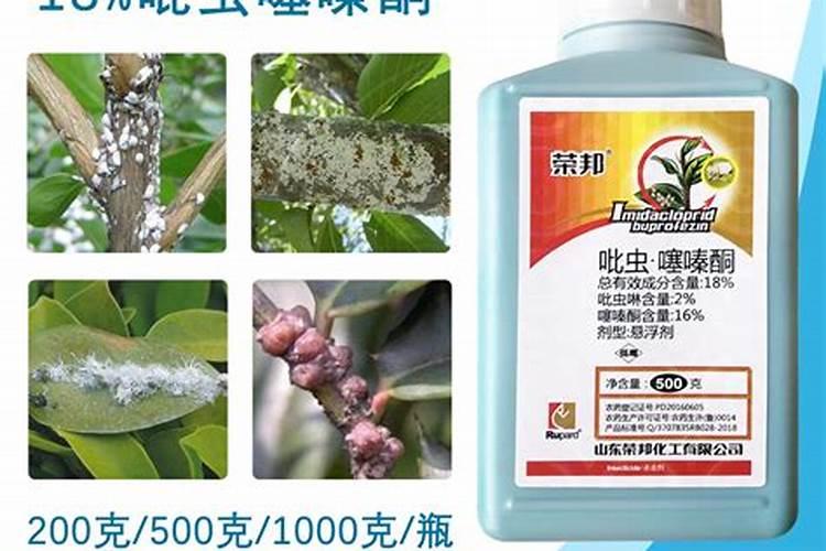 打什么叶面肥能使晚熟桃成熟的早