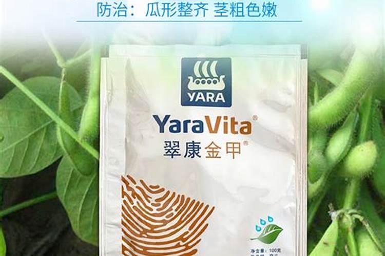 如何防治黄瓜的白化叶病？