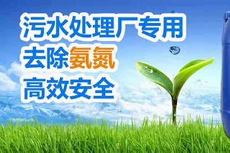 草莓根本追肥用什么肥料最好