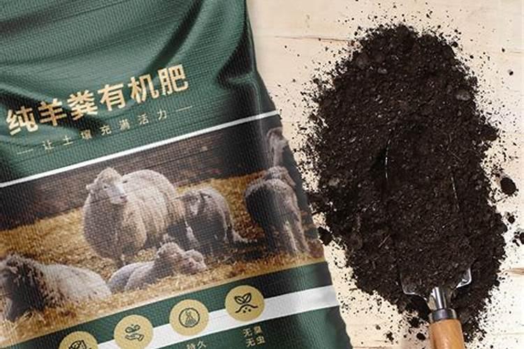 新手必看,如何配置营养土及施肥