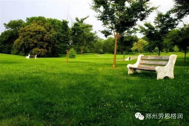 草坪施什么肥最好