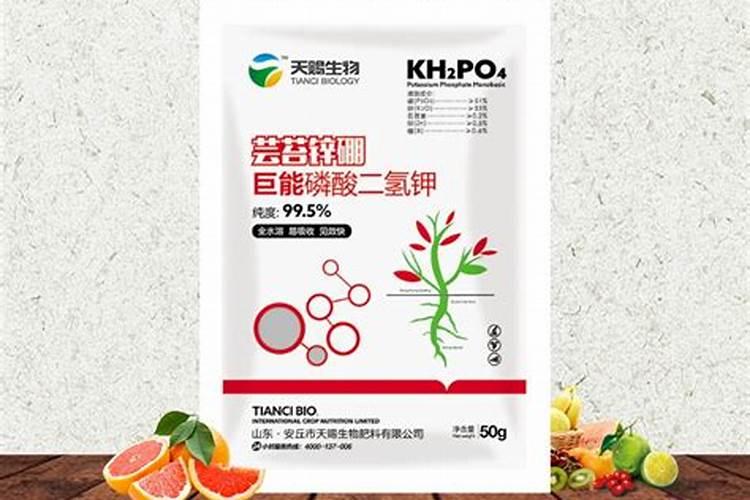 棱角丝瓜种植时间及技术要点