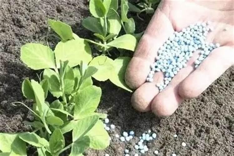 1913年,俄罗斯的“圣虎克号”载着格向奥奇？赛多夫北极探险队的队员们...