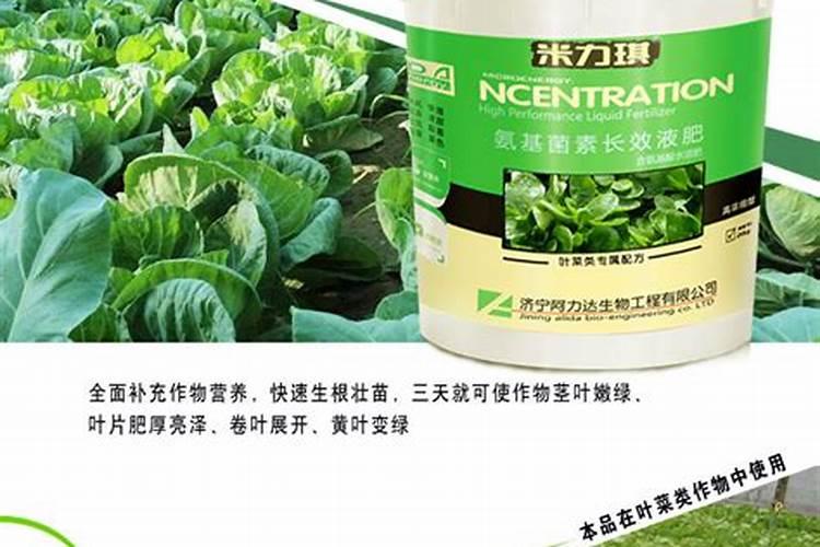叶菜出现叶色浓绿不长是缺什么肥？