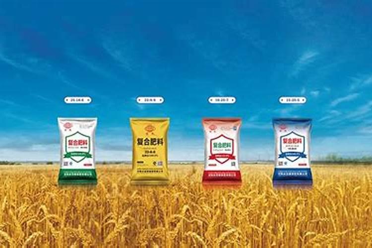 多闻橘子皮有什么好处