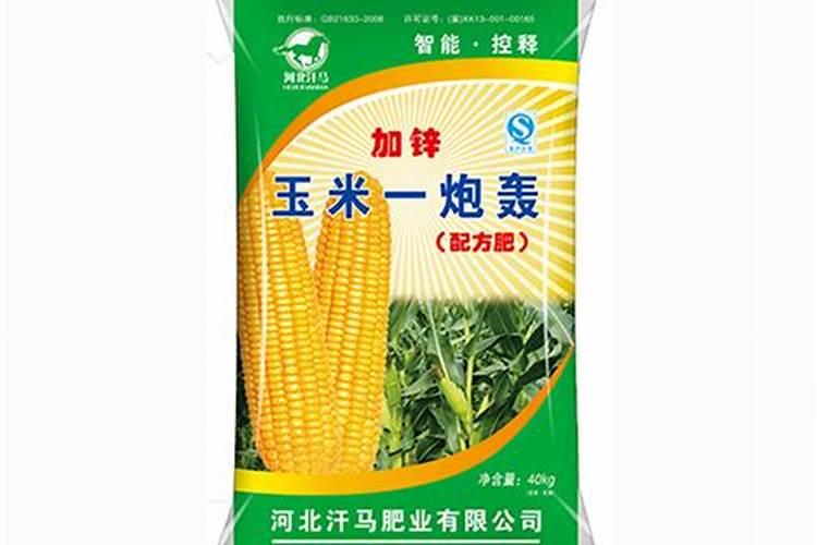 不用土壤改用袋子种辣椒,选对了种植袋,好用又省钱