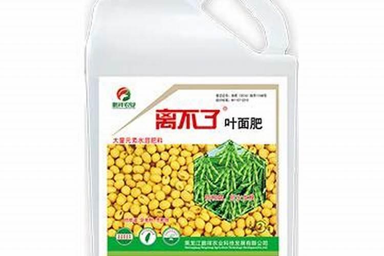 新疆水果有哪些