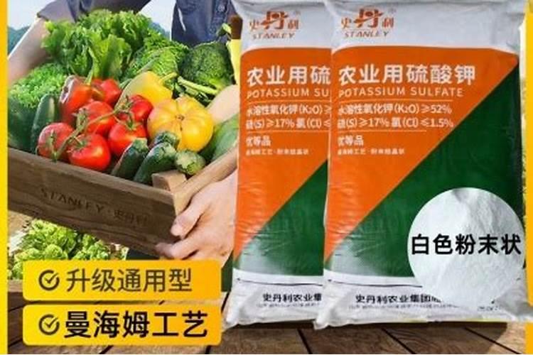 甜瓜用哪种复合肥最好