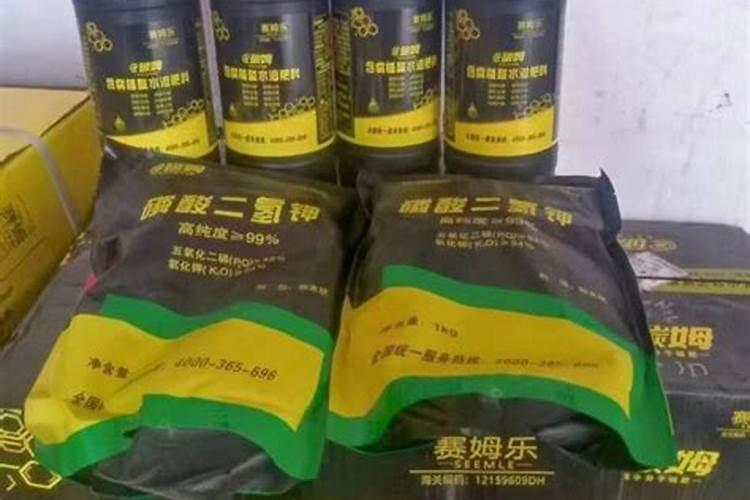 请问专家,糯稻是不是细菌性基腐病,拔起来有臭味