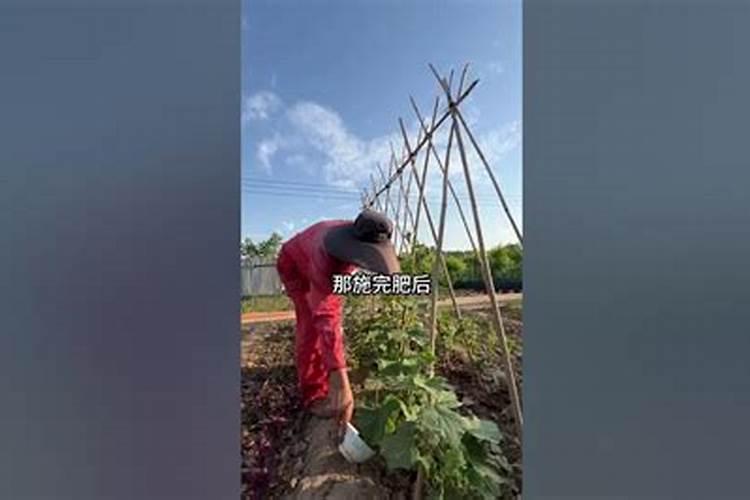 硒哪里有卖的
