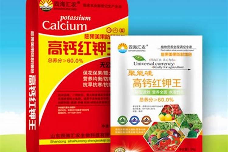 多肉可以施复合肥吗