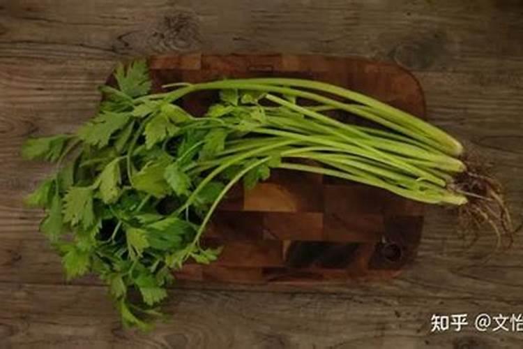 香芹的种植方法及技术要点