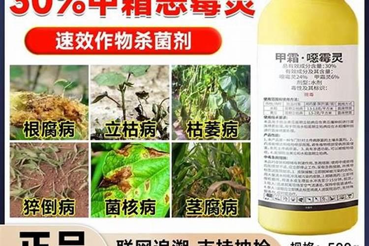 草莓重茬有好的土壤杀菌剂吗？