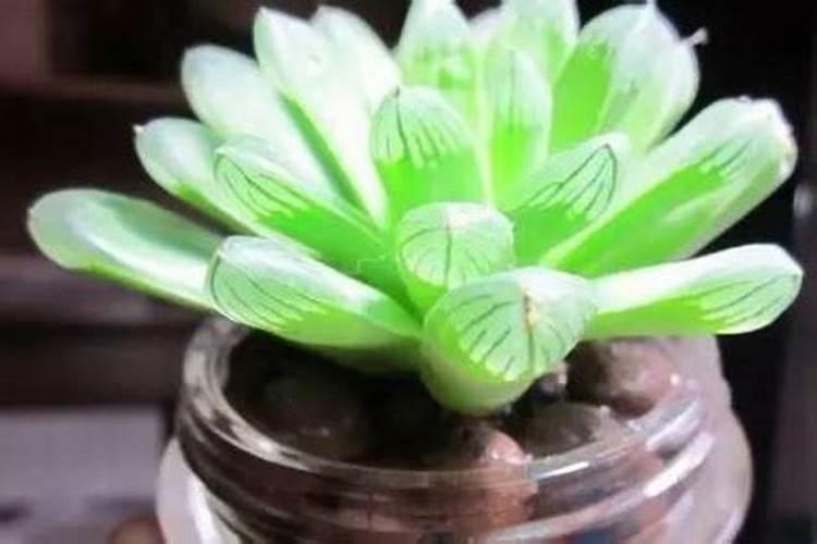 英国索尔福德大学相当于国内哪所大学？