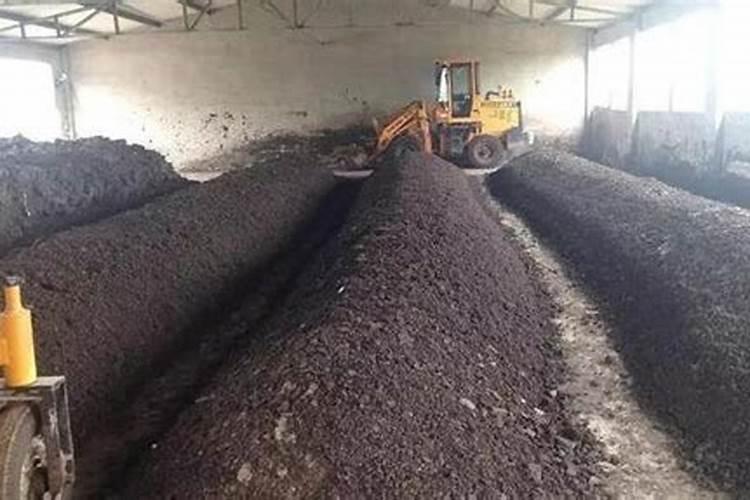 在农村开什么加工厂不愁销路