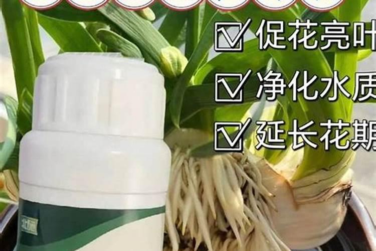 水培植物应该怎么去施肥和选择肥料 水培植物应该如何去施肥和选择肥料...