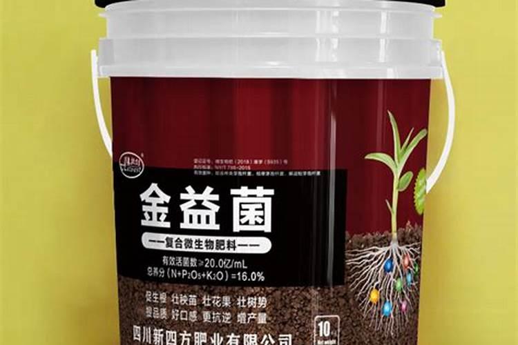 龙吐珠怎么养开花多