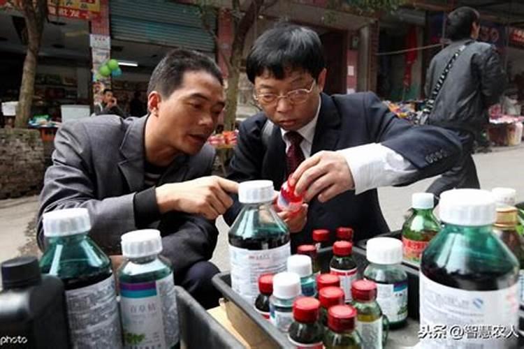 种一亩玉米的一年要种子多少斤？化肥多少斤？农药多少斤？